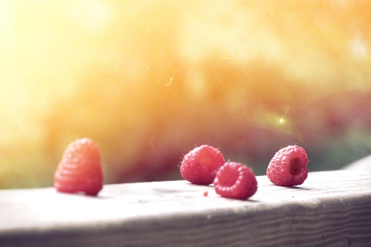 Iusto pariatur debitis vitae dolor laborum voluptas