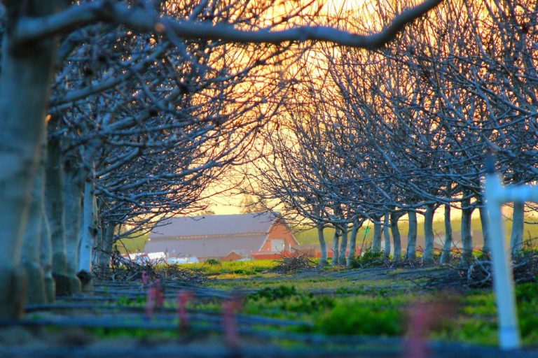 Facilis impedit id et cupiditate qui itaque