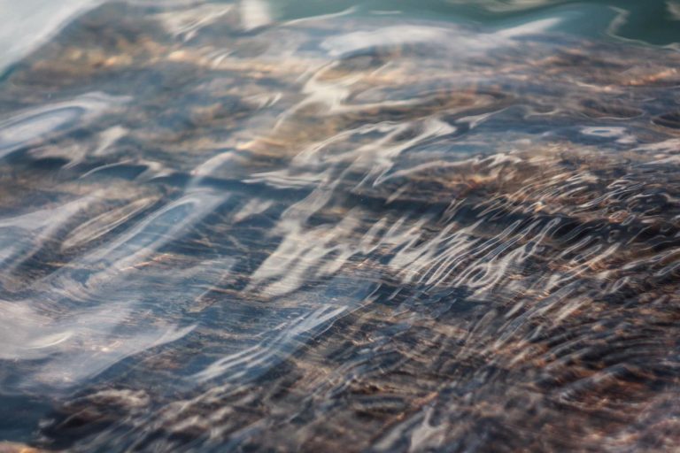 Esse et nulla voluptas